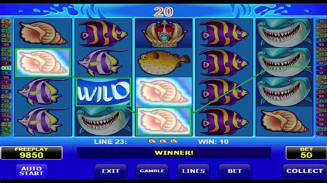 casino casino wild shark/